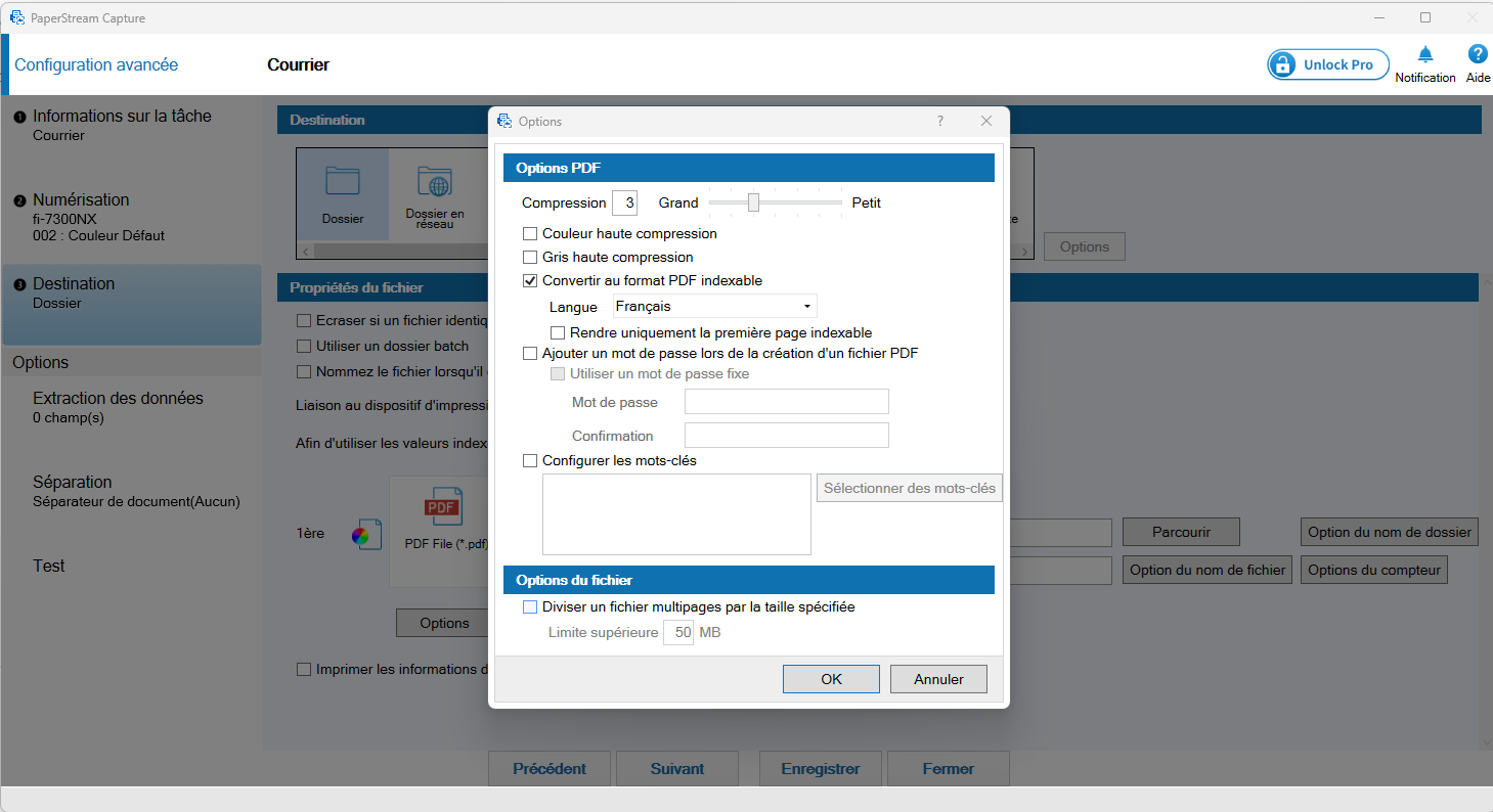 Fenêtre Options PDF avec Convertir au format PDF indexable coché et la langue Français
